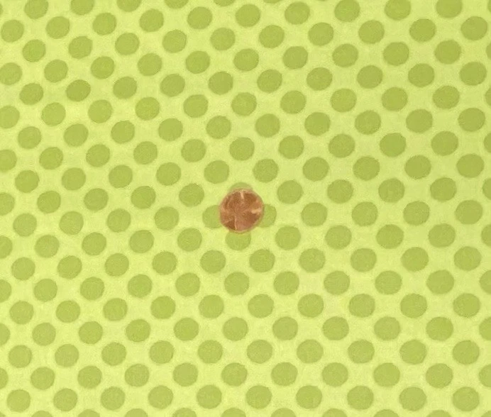 Tone on Tone Green Dots Novelty Fabric by Moda, BTHY, Green Polka Dots, OOP - Image 1 of 2