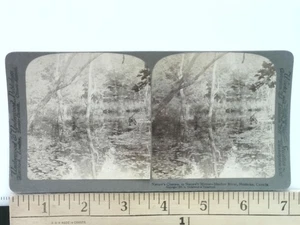Charms Natura Ombra Fiume Muskoka Canada Stereoview Lago Rosseau Regione - Foto 1 di 2