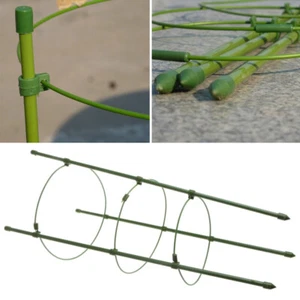 Climbing Roses Trellis Flower Climbing Cucumber Trellis Flowers Trellis - Picture 1 of 11