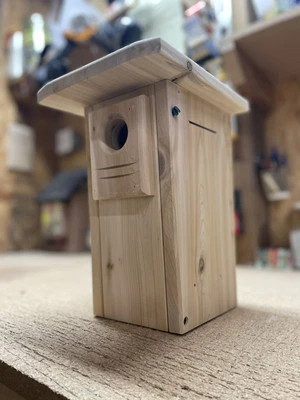 Caja de anidación Bluebird de cedro blanco Foto 1 de 4