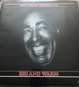 Big Nick Nicholas Big and Warm India Navigation Records Stereo Mint- LP - Picture 1 of 2
