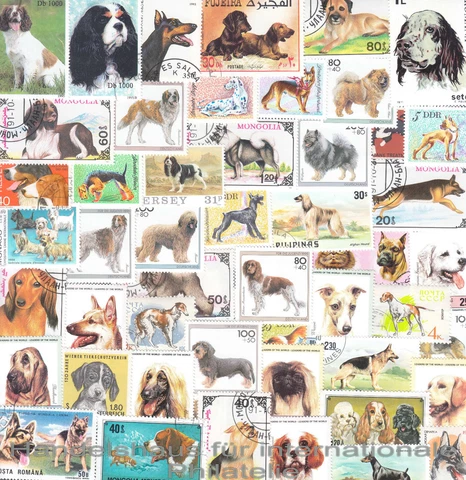 50 different Thematic Philately Dogs on stamps collection set nice assortment Cover