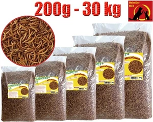 Mehlwürmer getrocknet für Fische Nager Vögel Reptilien auch Koifutter Igelfutter - Bild 1 von 20