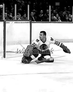 Chicago Black Hawks Goalie Denis DeJordy ohne Maske Spiel Action 8 x 10 Foto Bild - Bild 1 von 1