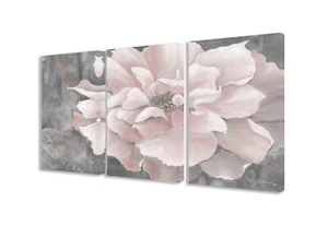 Stupell Home D&#233;cor 3 Piece Pastel Pink Peony On Gray Triptych Canvas Art Se - Picture 1 of 5