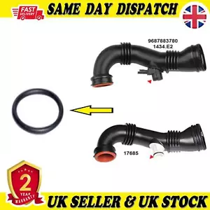GUARNIZIONE TUBO TURBO 24,00x3,00mm PER CITROEN BERLINGO C2 C3 C4 1434.E1 - Foto 1 di 6