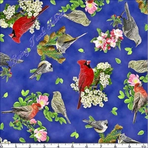 QT "SONGS OF NATURE" "26366-N TOSSED RED MIXED BIRDS FLORAL FABRIC- SELECT SIZE - Bild 1 von 1