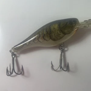 Rapala Ireland Crank Bait Barsch 2 1/2" Taucherköder Döbel - Bild 1 von 8