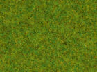 NOCH - Flocage vert pr de printemps 120g en pot -  - NOC08150