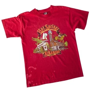 Camiseta Fruit of the Loom De Colección 95' Puntada Única Hot Springs Arkansas Gráfica Desvanecida M - Imagen 1 de 14