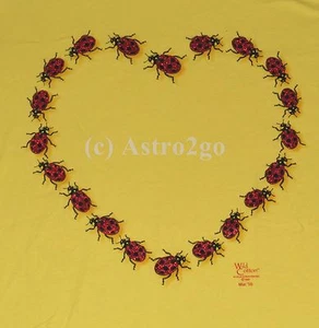 LADYBUG HEART-Bugs Insects Beetles Ladybirds Scoop Neck T shirt Junior Size XXL - Picture 1 of 4