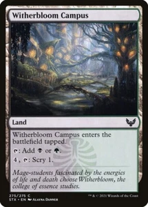 (X4) Witherbloom Campus 275/275 Play Set Common Commander 2021 MTG Near Mint - Picture 1 of 2