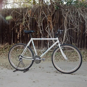 Vintage Schwinn Paramount Series 20 MOS 26" MTB - Suntour XC LTD - Used - Picture 1 of 24