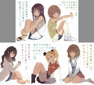 Rascal Does Not Dream of Bunny Girl Senpai Complete Blu-ray Box Set 5 Discs - Bild 1 von 1