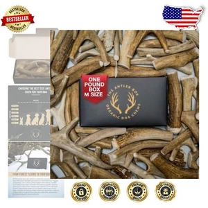 Natural Elk Flavor Antler Chews - Bulk 1 lb Pack for Dogs' Dental Care - Picture 1 of 8