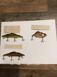 Lot Of Manns Hackle Back Bullfin Mudfish Fishing Freshwater USA Lure BaitCompany - Picture 1 of 4