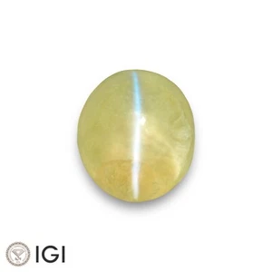 IGI Certified SRI LANKAN Chrysoberyl Cat's Eye 2.62 Ct. Natural Untreated OVAL - Picture 1 of 8