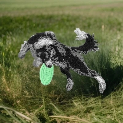 2 1/2" x 3 3/8" Border Collie Dog Breed Catching Frisbee Embroidered Patch