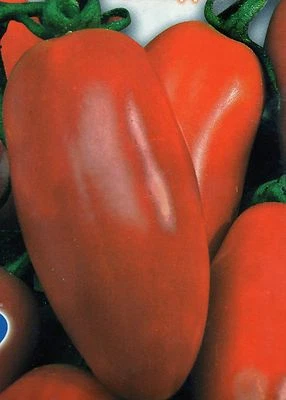 HORTUS 250 SEMI DI POMODORO SAN MARZANO LUNGO *SEMENTI ORTAGGI PIANTA INDETRMINATA