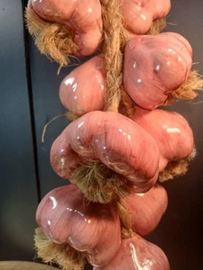 Vintage Pinkish Ceramic Garlic On A Rope '28 Inch - Picture 1 of 11
