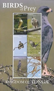 TONGA - 2018 MNH "BIRDS Of PREY" ¡Hoja de recuerdo!!!! - Imagen 1 de 1