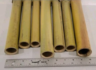Bambú 21/2 a 3 pulgadas de diámetro por 1 pie de largo - secado natural - manualidades  Foto 1 de 4