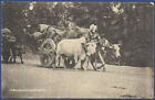 A Bullock Cart Lahore Pakistan Mnh Old Picture Postcard Post Card