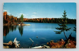 Postcard Nature's Magic of Colour - Posted 1958 Minocqua Wisconsin - Picture 1 of 2