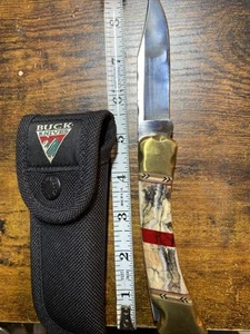 Custom Buck 110-prehistoric Bone And Bloody Jasper Handles W/filework - Picture 1 of 20
