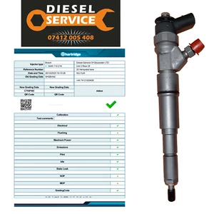 0445110216 BMW 120d 320d 520d 2.0D Iniettore Rimanente con rapporto di prova - Foto 1 di 1