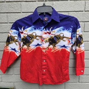 Vintage Panhandle Slim Youth S Western Pearl Snap Shirt Rodeo Bull Rider USA EUC - Bild 1 von 8