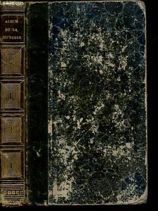 Poetisches Album der Jugend oder Neue Ornamente der Erinnerung - Bild 1 von 1