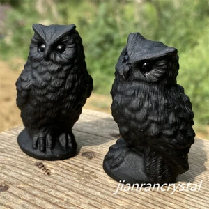 2" Cuarzo Obsidiana Natural Búho Tallado Cristal Calavera Reiki Piedras Preciosas Curación 2 piezas - Imagen 1 de 12
