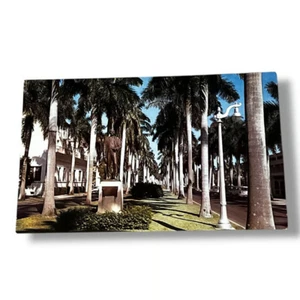 Tarjeta postal Royal Palm Way Palm Beach Florida cromada D285 - Imagen 1 de 2