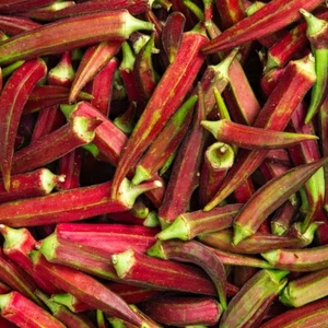 1/4 Lb Red Burgundy Okra Seeds - Everwilde Farms Mylar Seed Packet - Picture 1 of 2