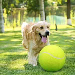 24CM Hund TennisBall Hundespielzeug Bälle Hunde Spielzeug große haustier ball - Bild 1 von 10