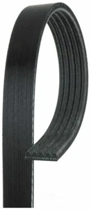 Gates K050505 Micro-V Serpentine Drive Belt - Foto 1 di 2