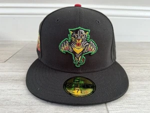 Florida Panthers New Era 1993 - 2013 20 Years Patch Black Green Fitted Sz 7 3/8 - Picture 1 of 10