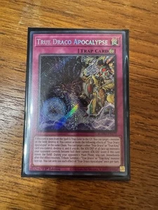True Draco Apocalypse - BLMM-EN177 - 1st Secret Rare NM - Bild 1 von 1