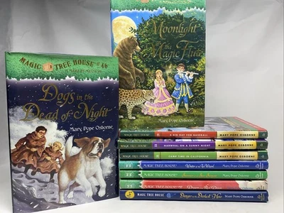 Magic Tree House Merlin Missions Lot of 9 Hardcover Mary Pope Osborne Chapter - Image 1 of 4