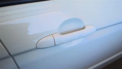 Manija de agarre de puerta exterior manija de puerta de pasajero montaje exterior puerta F Foto 1 de 4