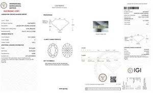 Oval Cut  CVD 2.51 Ct E Color VVS2 IGI Certified Lab Grown CVD loose Diamond - Picture 1 of 12