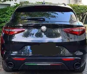 Dam Diffusore Stelvio Veloce Carbon Look + Tricolore aerografato - Ricambio OEM - Foto 1 di 10