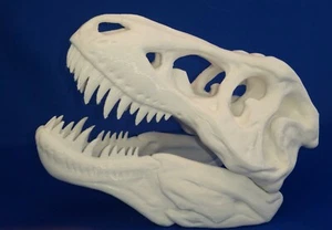 Tyrannosaurus rex Skull 1/10 Scale model - Picture 1 of 6