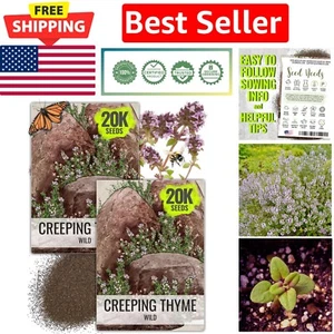 Wild Creeping Thyme Heirloom Seeds - Attractive Ground Cover for Gardens 2 Packs - Picture 1 of 9