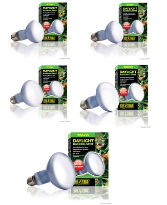 Exo Terra Daylight Basking Spot Tageslicht Terrarium Wärmelampe für Reptilien