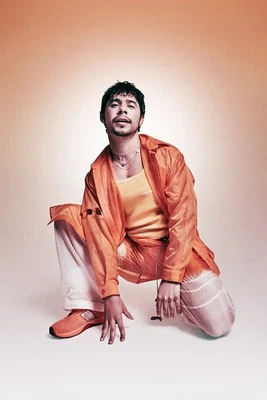 David Archuleta - Cantante Americano - Intérprete - Fans de Compositores - PÓSTER 20"x30" Foto 1 de 3