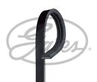 GATES Drive Belt for Land Rover Range Rover Evoque 1.5 February 2020 to Present