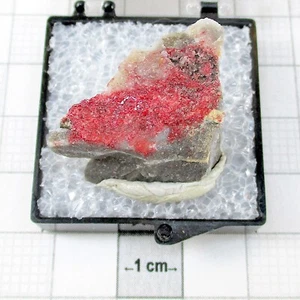 09185 TN Eglestonit Cahill Mine Humboldt County Nevada USA 3885 - Bild 1 von 5