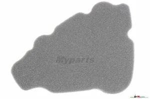Myparts Foam Air Filter for BENELLI Scooter model Adiva 125-150cc pn R72340061A0 - Picture 1 of 10